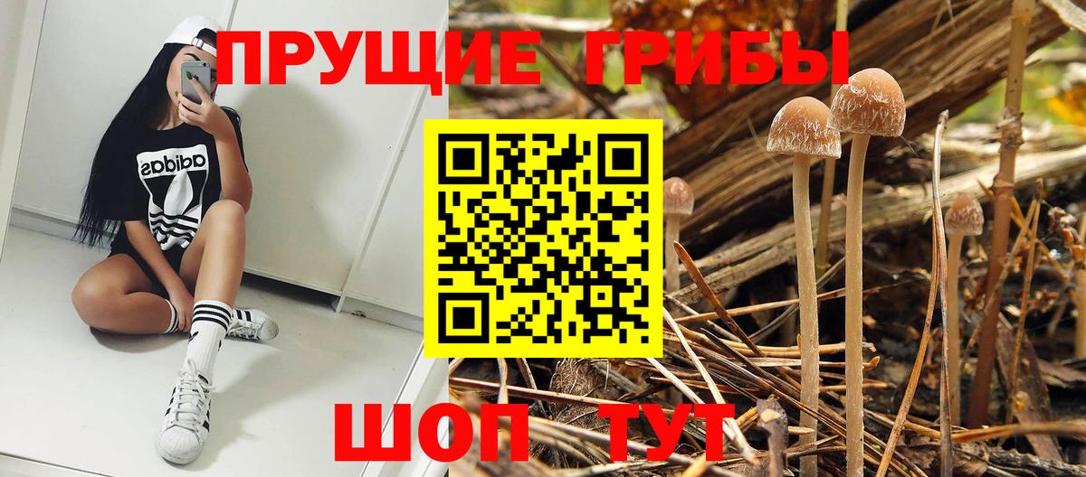 Псилоцибиновые грибы мухоморы Шуя